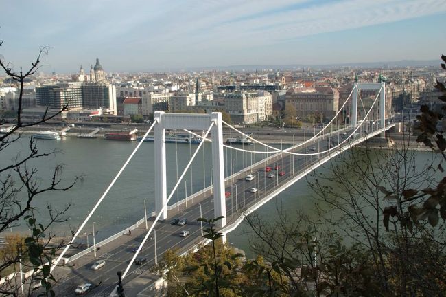 ハプスブルク帝国の皇帝フランツ・ヨージェフの妻エルジェーベトの名から付けられたエルジェーベト橋。もともとは、皇妃にふさわしい装飾がされた橋だったが、第２次大戦で破壊され、シンプルなデザインで再建された。<br /><br />【エルジェーベト橋】<br /><br />