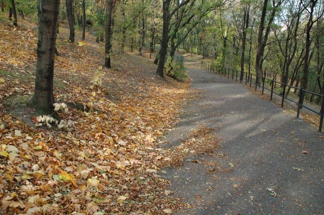 【ツィタデッラから下る道】