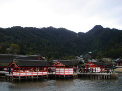 平清盛が造営し、その後の時代も権力者達に崇敬されてきた厳島神社。

その美しい姿は世界の人々を魅了しているようで、外国の方も多く訪れていました。

さすが、世界に誇る日本の美。