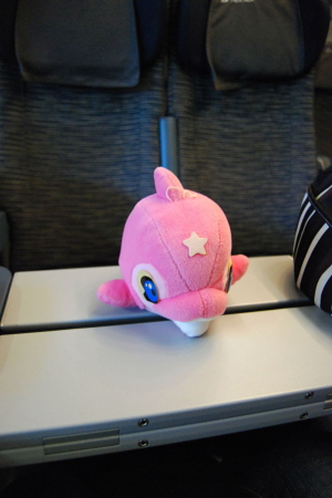 前日、JTBローマの窓口で手配してもらった電車。<br />テルミニ駅からピサ直通のトリノ行き電車。<br />本数が少ないことと、そこからフィレンツェまで回ることを考慮し朝7時台にテルミニ発のもの。<br />ピサまでの所要時間は3時間。<br />恐らくこのルートが最短かと。