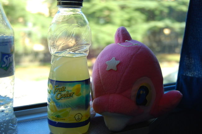 ピサを後にして、次は在来線にてフィレンツェまでの移動。<br />在来線は本数も多く、指定席も特急券もない電車なので予約の必要はないので電車の切符を予約する段階で「来た時間に適当に乗ってください」と言われていたので、駅に着いて、そのまま電車を待って乗りました。