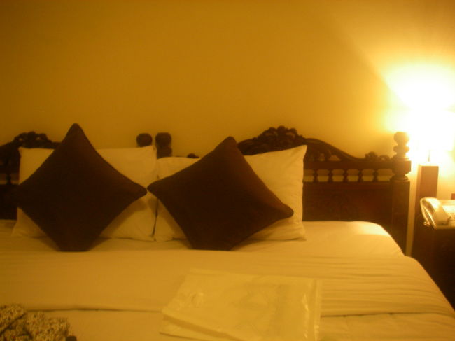 泊まったホテルは中心にある、キャンペーンクラスからアップグレードしたホテルで、名前は忘れました。<br /><br />バスルームが広かった！けど時々シャワーがワラーになってしまった。アップグレードしても所詮ベトナム・・・<br /><br />お部屋はシンプルでモダン。快適でした