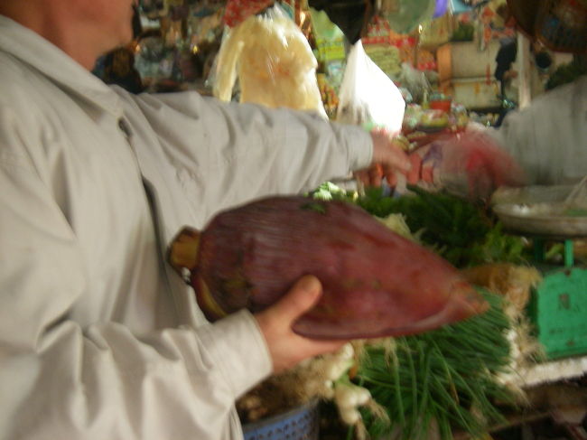 センセイ、何かをゲットしていた