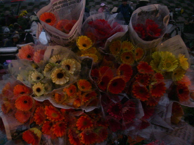 朝早く、ドゥックが花の市場に連れて行ってくれた。6時くらいに迎えに来た気がする。<br />8時には終わっちゃうんだって！！