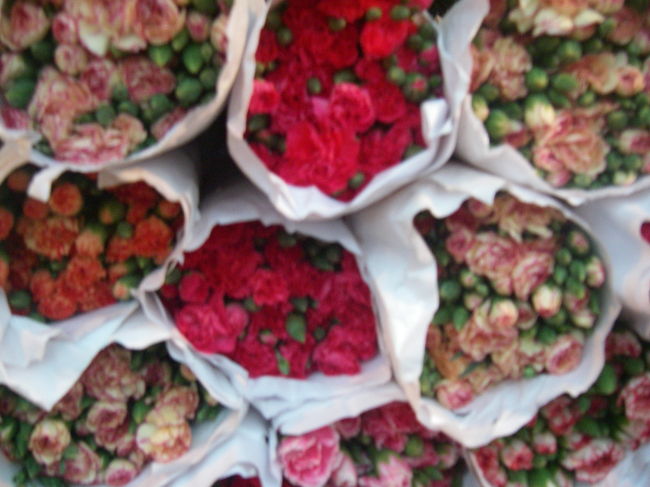 どれが好きかと聞くので、薄いピンクの薔薇を指したら、買ってくれたのです！！サンキュードゥック<br /><br />で、ホテルに帰って活けるものがなかったのでバスルームのゴミ箱に水をいれて、日中活けておいたところ・・帰ったら捨てられてしまっていた・・・・・・・・・・ショック　ゴミだと思われたんだと思う。あの子達こんなに沢山の花を捨てて勿体無いとか思われたんだろうね。