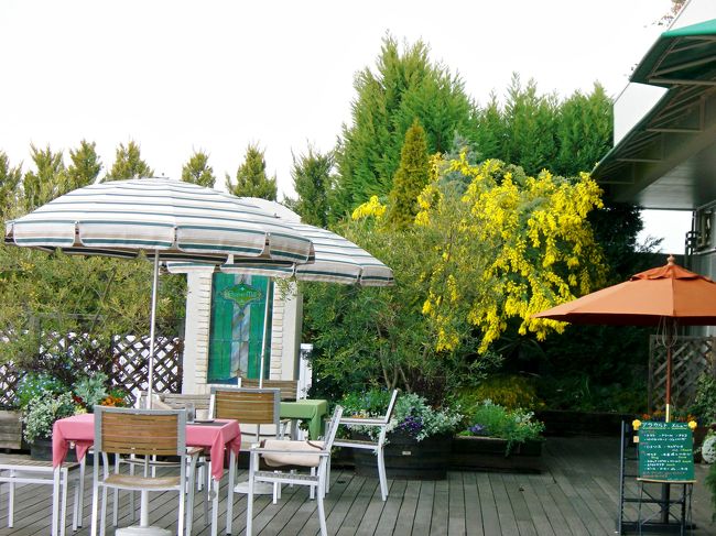 伊丹空港(大阪国際空港)の展望デッキ<br /><br />広々としたウッドデッキで緑がふんだんに<br />取り入れられた開放的な場所です。<br />飛行機の離着陸を眺めながらお茶でも<br />如何ですか？<br /><br /><br /><br /><br />