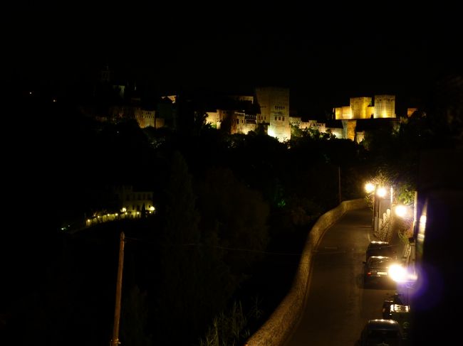 ホテルにてフラメンコショー（送迎付）を<br />予約しましたので行ってきました。<br />場所はさきほどの丘のところ。<br /><br />夜のアルハンブラ宮殿を撮影する時間もあり<br />なかなかお買い得ツアーです。<br />ワンドリンク付３０ユーロくらいだったと思います。<br />