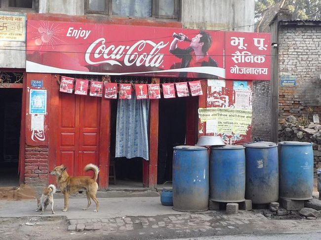 コーラの看板と小汚い犬。