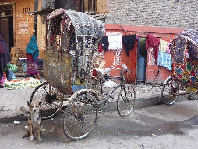 おんぼろのリクシャーと小汚い犬。