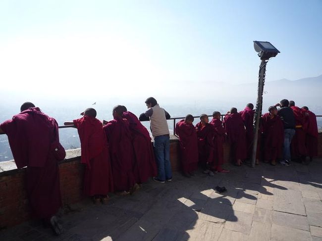 坊主も眺めを堪能。