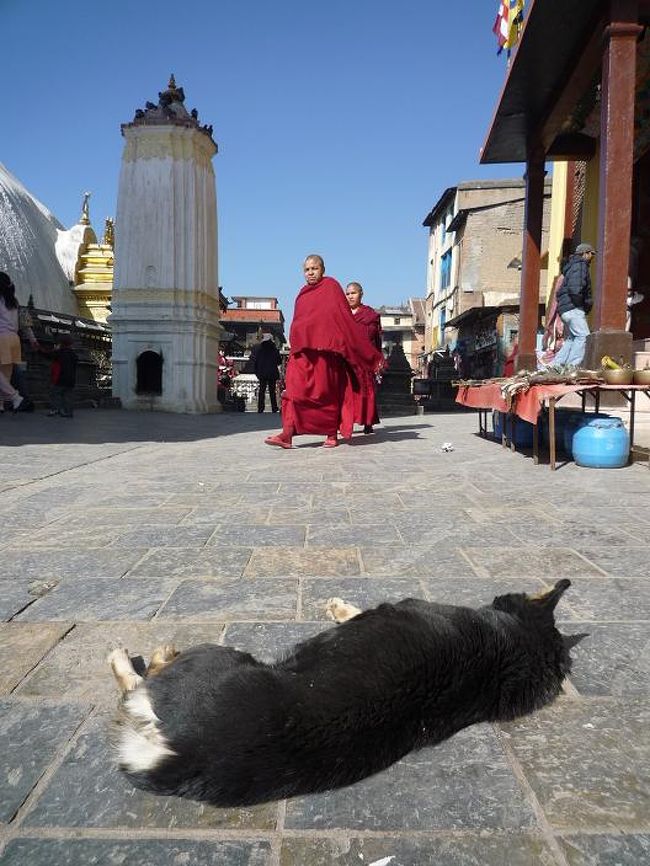 俺に背を向けて寝てるし。