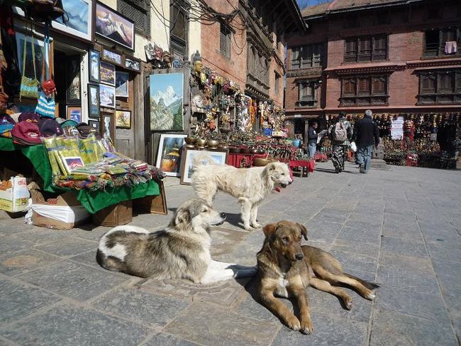 ３匹もいるし。