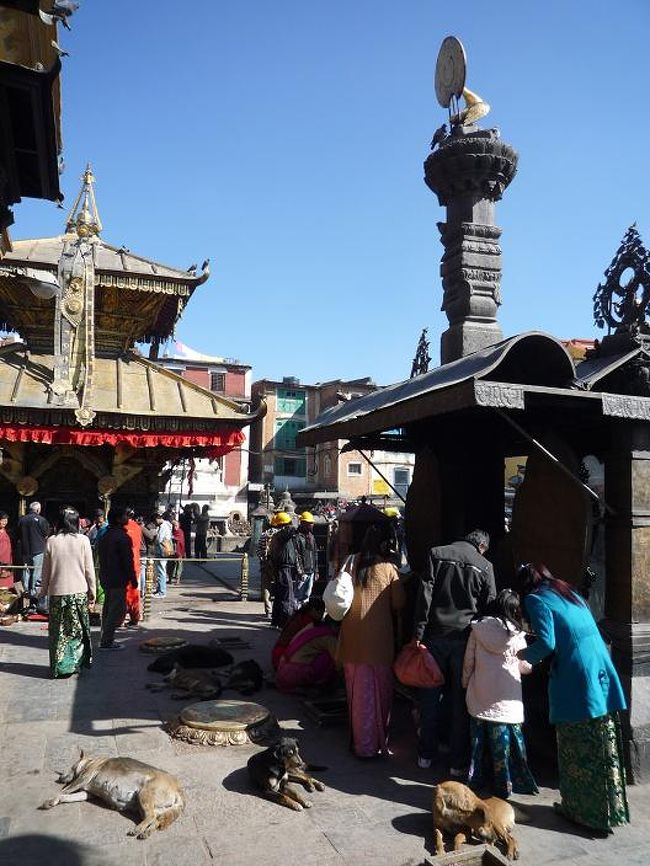 参拝の邪魔じゃない？