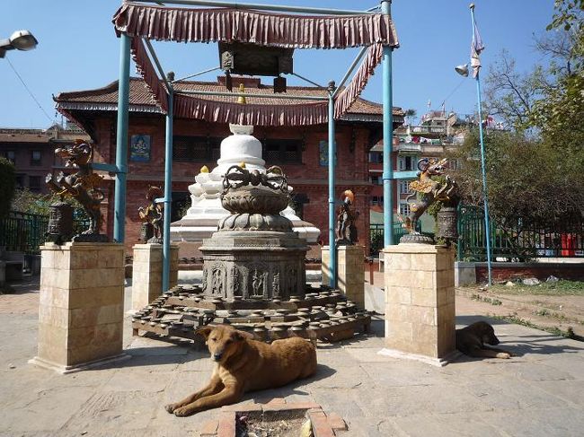 なんかの守り神のような小汚い犬。