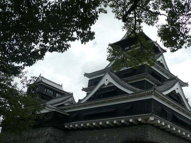 有名な石垣と迫力ある城