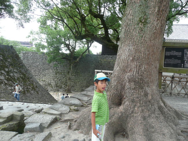 ボランティアの案内係がいていろいろ教えてもらいました。