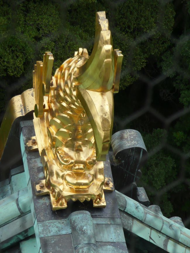 近くでみると　大きさにびっくり。