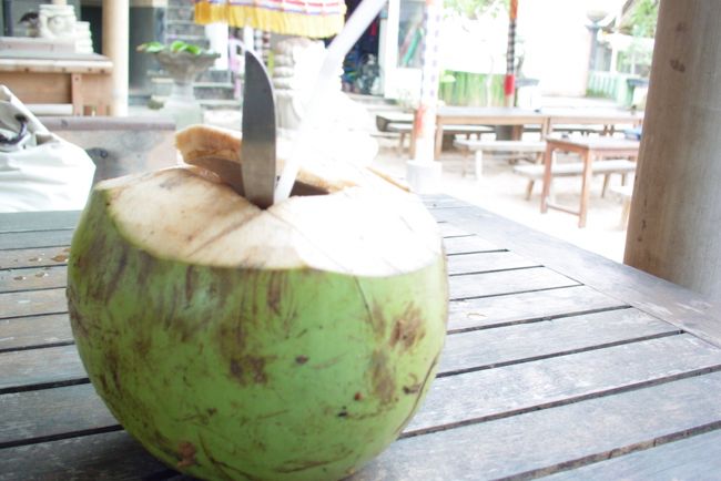 ちかくの海でマリンスポーツなどをやりました。<br />本当はパラセーリングがしたかったのですが<br />砂浜の珊瑚等の破片が危ないということで<br />させてもらえませんでした。残念。<br /><br />水辺にカメラは･･･ってことで<br />休憩中の椰子の実ジュースです。<br />正直、味がないぬるい水でしたので<br />これの教訓を活かして翌年行ったタイでは<br />オーダーしませんでした。