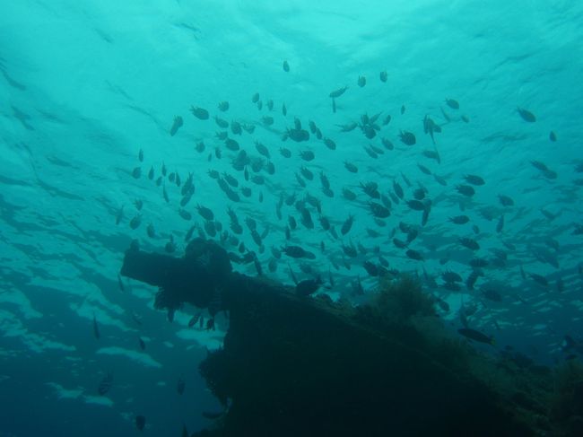 いきなりですが、翌日は有名なダイビングスポット<br />トランベンまで行きました。<br />ヌサドゥアからトランベンまで<br />３時間以上かかった気がします。<br /><br />人生発のダイビングにドキドキでしたが、<br />エヴァンゲリオンに出てくるプラグスーツのような<br />スーツは着るまで結構苦労しましたが、<br />鼻呼吸を封じて口呼吸にするといったところなどは<br />意外と順応できたのでまずはクリアできました。<br /><br />カメラは防水ケースがないので<br />レンタルしました。<br />データ譲渡込みで１０ドル程度でした。<br />カメラはリコーのＲ５か何かの光学５倍くらい<br />付いてる立派なカメラでしたので良かったです。