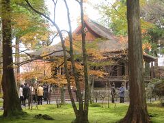 11月24日
　朝食無しのプランです。イノダコーヒー本店でモーニングと思って行くったものの、7時半頃なのに、20人近くも行列しています。
　これはだめだと、翌朝に行く予定だったマエダコーヒー高台寺店に変更。ここのモーニングは800円でボリュームもあります。コーヒーも美味しくて、京都で喫茶店が未だに生き残っている理由はこのことだと実感できました。
　モーニングの後は、三千院へ。
　昨日の駐車場の混み具合を見て、心配していたのですが、拍子抜けするほどすいており、門前近くの駐車場に難なく入れました。
　写真は、境内の往生極楽院。紅葉がいまいちなのが残念。