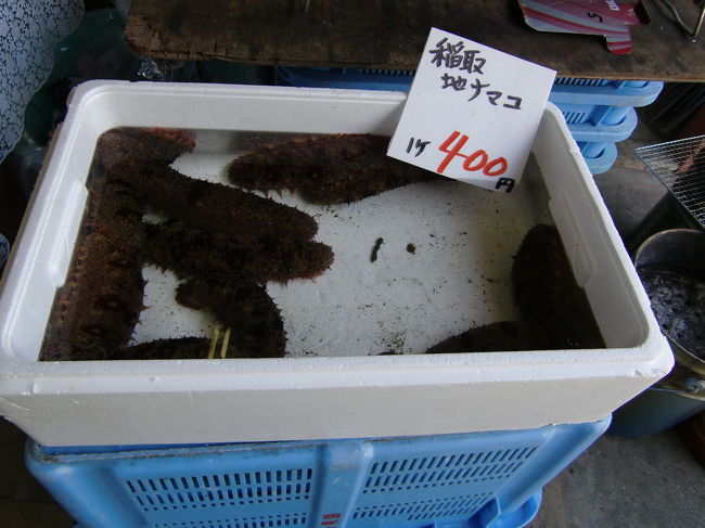 近くの市場。<br />なまこです。