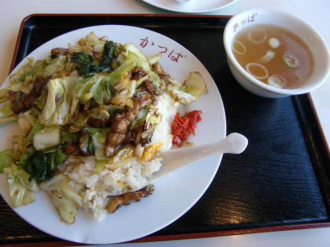 お腹がすいたので腹ごしらえ。<br />街の人におすすめをきいたところ、<br />こちらのかっぱ食堂へ。聞いた２人もおいしいっていうもんだから、頼んでみました。<br />なんでも石ちゃん（まいうーの）がテレビできたとか。<br /><br />お味は・・・普通。ちょっと油っぽいかな。<br />私が作ったチャーハンとかわらない。<br />のに９００円くらい。高いー！