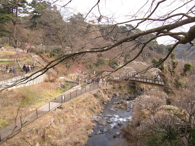 春はもうすぐですね。