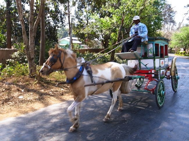 自転車で走っていると馬車がやってきた。