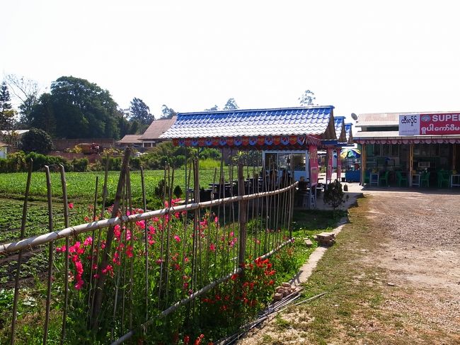 畑の中にレストランがあった