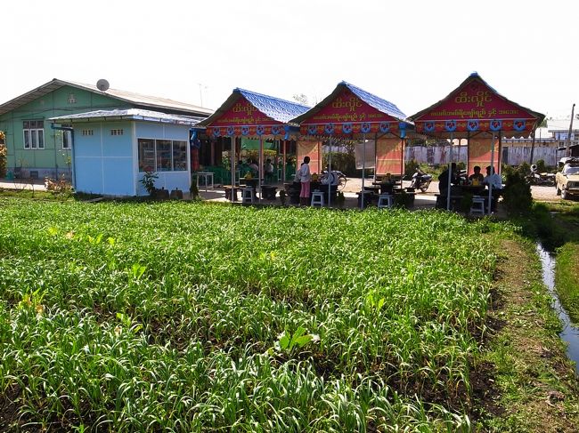 まったくのどかなところだ。