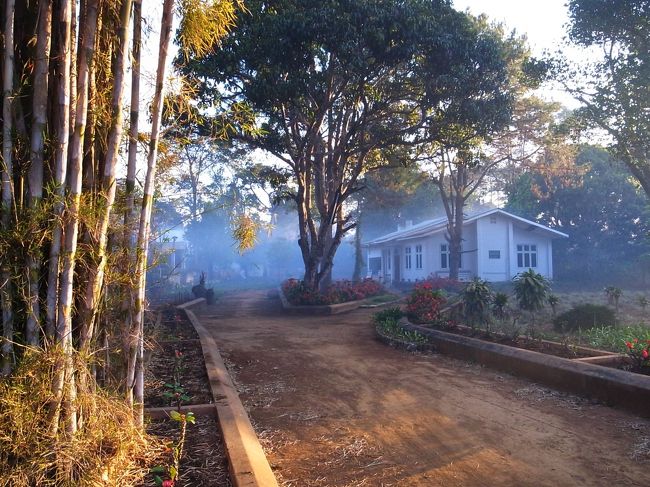 朝もやがたち込めている