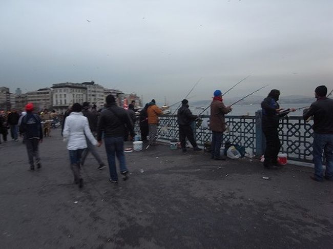 上の道路部分では、両側でズラーっと皆が釣りをしています。結構釣れているようです。