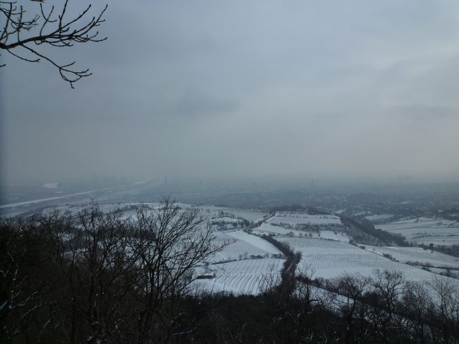 グリンツィグからバスに乗って１５分程で、ウィーンの森にある展望台、カーレンベルクに到着。<br /><br />……ガスが。寒いし……。