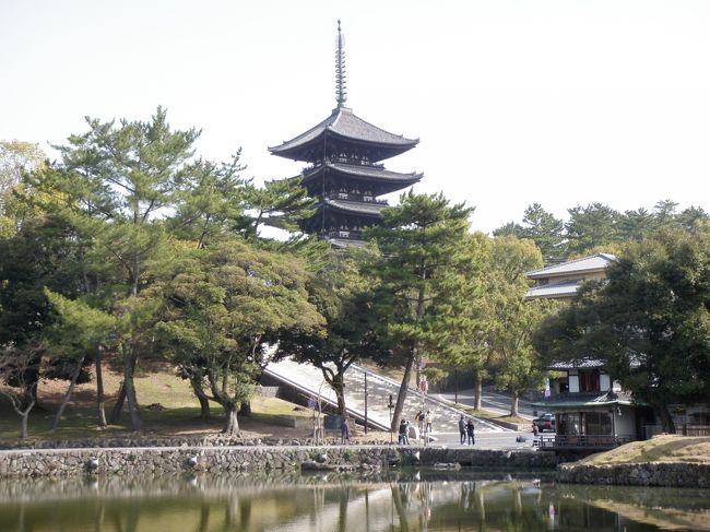 奈良の定番ですが、猿沢の池と興福寺の五重塔。