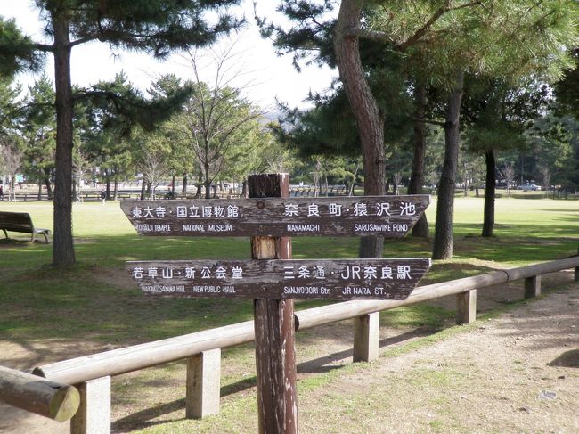 奈良公園登大路園地。画面奥は国立博物館(奈良博)。