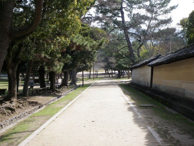 興福寺の土塀がいい感じです。