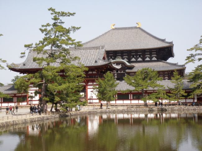 東大寺南大門をくぐり、鏡池から大仏殿を眺めます。人は小さく、建物は何もかも巨大。