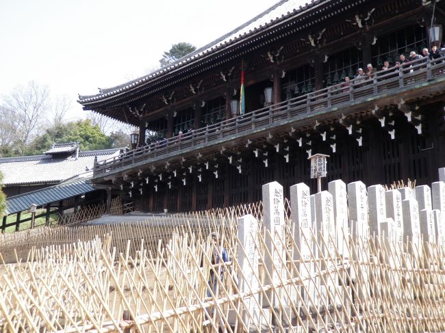 昨夜の印象がよみがえります。