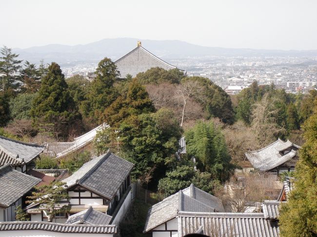 西の方、大仏殿の屋根の向こうに生駒山が見えます。