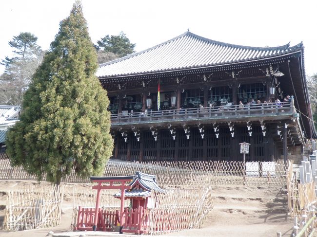 もう一度、すぐ下から二月堂を見上げました。