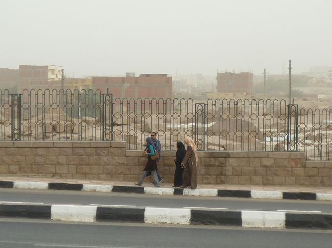 庭から外を見て。<br />道路の白黒部分は車道と歩道の境界線。