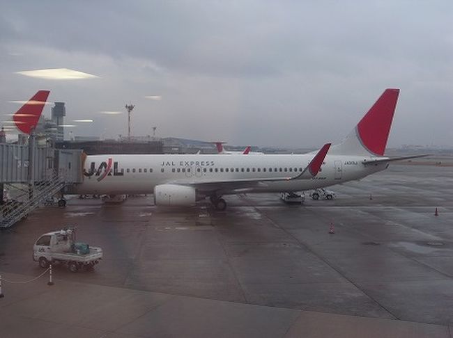 成田行きのB737-800です。<br />国際線仕様ですので、1000円払ってクラスJだけど<br />シートはビジネスです。。