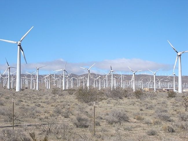 空港の向かい側の丘の上には、おびただしい数の風力発電装置が並んでいます。。<br />いったい何本あるのか・・・スケールが違います。