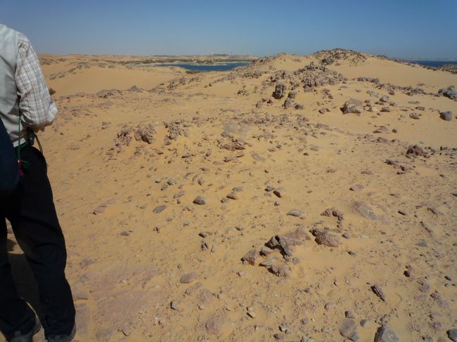 何処までもこんな風景が続いていた。<br />お店の人に遠くまで行かないように注意されたので<br />こちら方向は歩くのを止めにした。