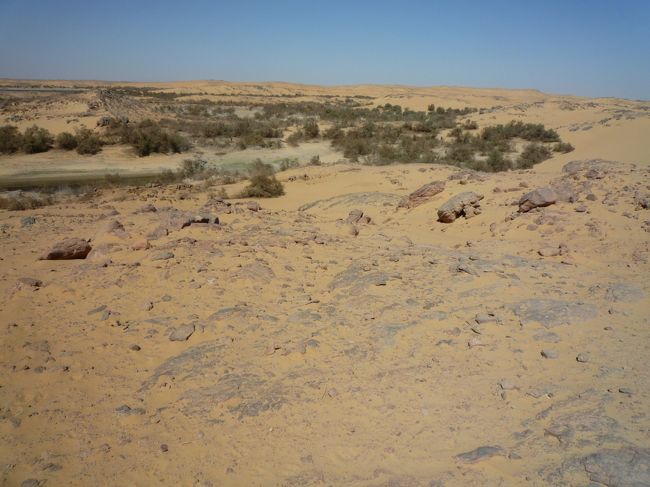 クロコダイルアイランドには　クロコダイルがいるのかと期待していたが、クロコダイルの飼育所でもなかったし生息地でもなさそう。しいて言えば　その辺りの岩がクロコダイルに見えそうなだけ。ひょっとして日没頃にクロコダイルがここに戻ってくるのかな？<br />死んでいるクロコダイルは飾ってあったから　いつかいたのだろう。