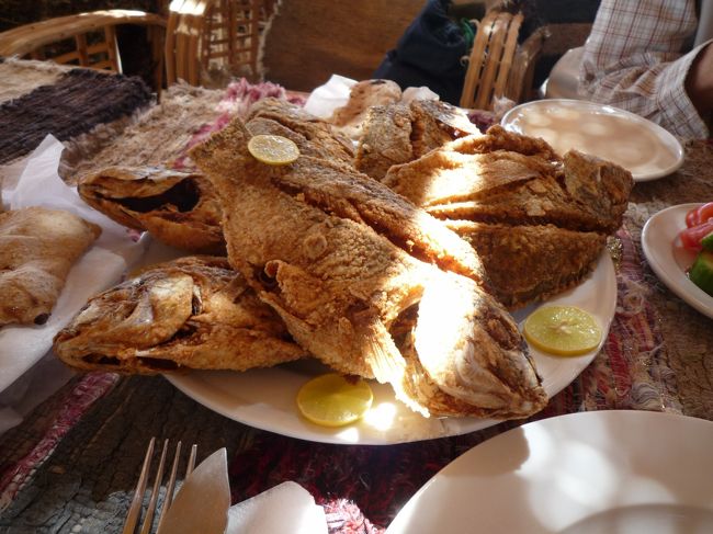 最後に魚のフライが出た。２人分とは思えないくらいの魚の数である。味はまあまあだが新鮮な魚であった。１尾だけ自分のお皿に取り綺麗に食べた---お箸を持ってくればもっと綺麗に食べられたのだが。<br />ご飯は美味しかったが　黒いものが入っていたのでスプーンで取り除いていたら　「黒いのはニンニクをフライしたものだ」と　すだれを持ち上げて男の人が私に言った。私は観察されていたのだった。<br />綺麗ではない小屋にしては美味しい昼食だった。<br />エジプトに来て初めてのサラダも食べたし---ちょっと心配ではあったが新鮮そうだったので食べた。