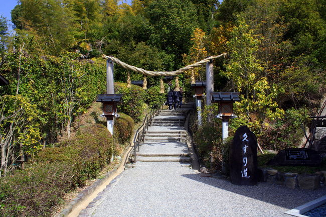 次に向かった狭井神社へと続く道は「くすり道」と呼ばれています。<br /><br />階段状の登り坂の左右には，さまざまな薬草や薬木が植えてあり，さらに製薬会社から寄進された燈籠が並んでいます。<br />