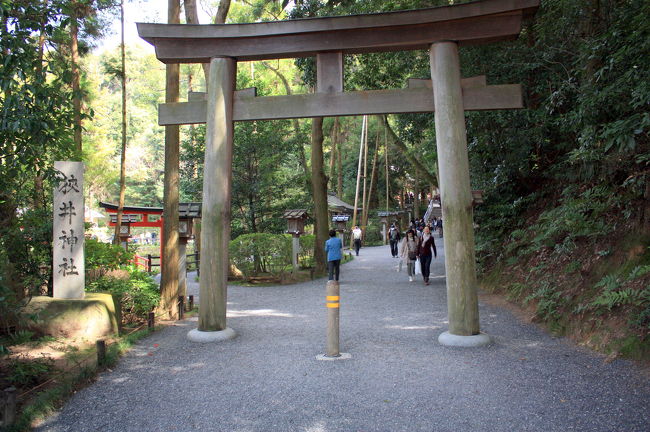 狭井神社の鳥居前にやってきました。<br /><br />狭井神社は大神神社の摂社で，正式な名前は「狭井坐大神荒魂（さいにいますおおみわあらみたま）神社」といい，本社の祭神の荒魂(あらみたま)を祀る神社です。