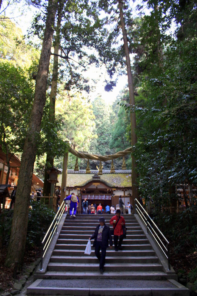 ここも「しめ柱」ですね。<br />階段の先に拝殿が見えます。