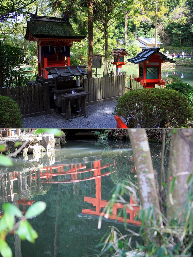 鳥居横にある鎮女池(しずめいけ)のほとりには，市杵島姫命(いちきしまひめのみこと)神社です。<br />七福神の一人，弁財天ですね。<br /><br />池に映る鳥居を撮りました。<br />